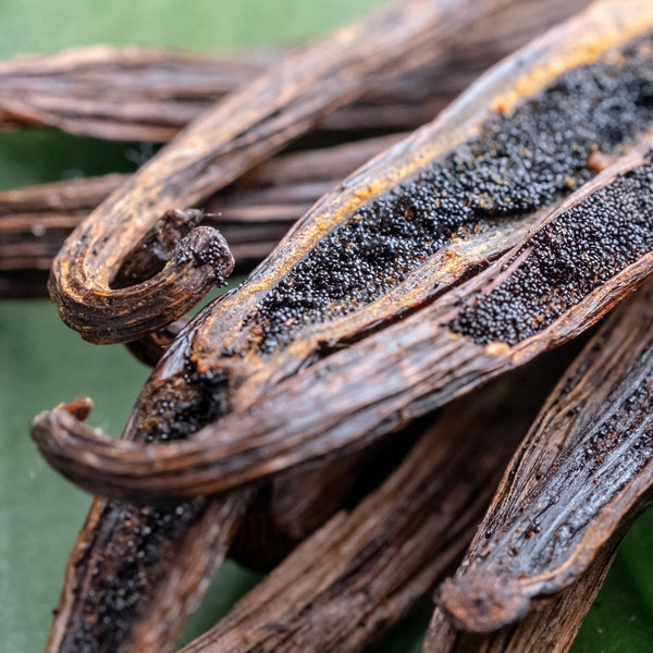 Premium vanilla beans